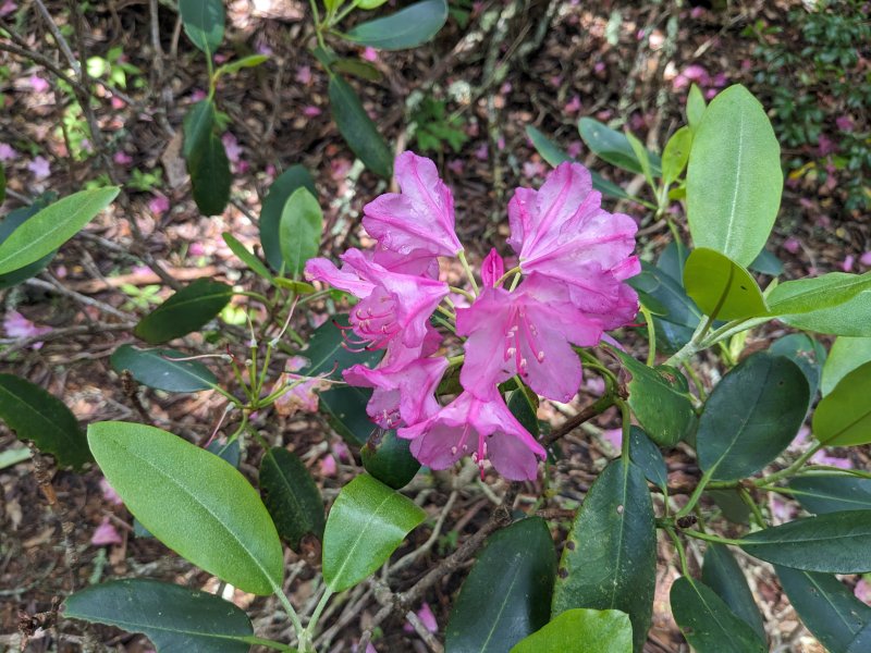 2025-06-22 11.05.32.jpg