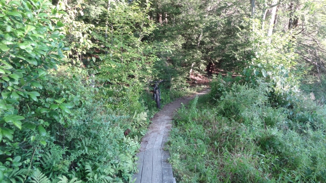 Doublepond bridge.jpg