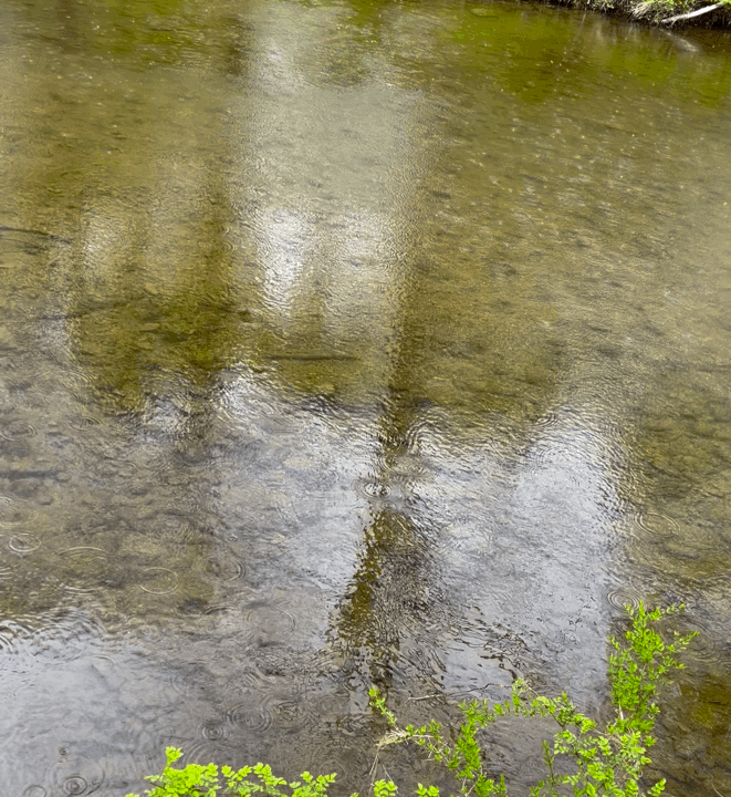 IMB_do28rk.gif