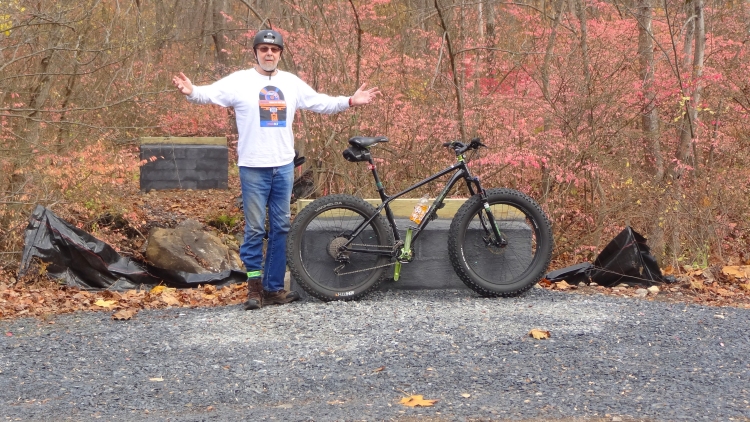 Longpond Bridge04.jpg