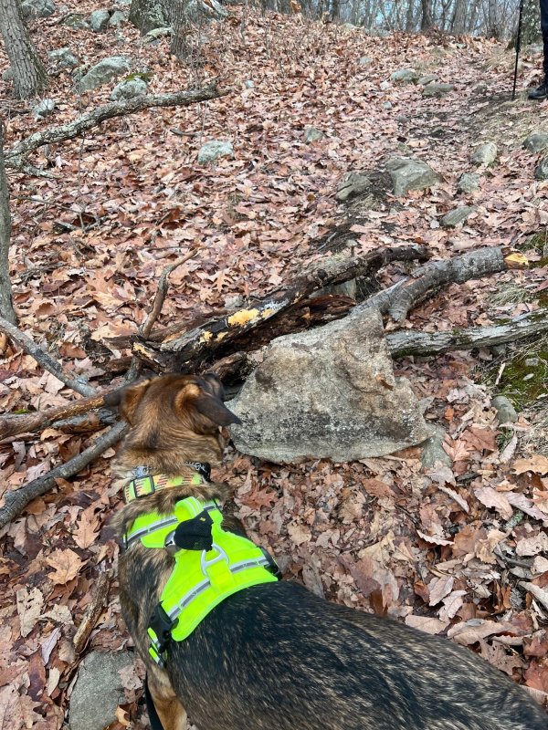 TRail 2.jpg