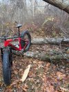 IMG_1919.jpeg