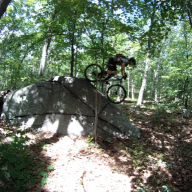 JayFletch